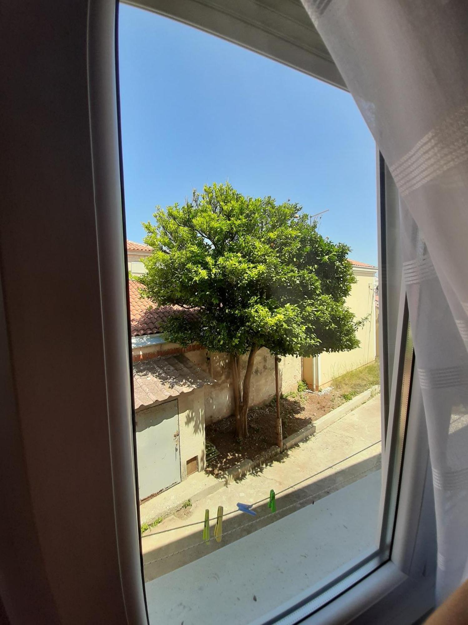 Apartments And Rooms With Parking Space 木洛希尼 客房 照片